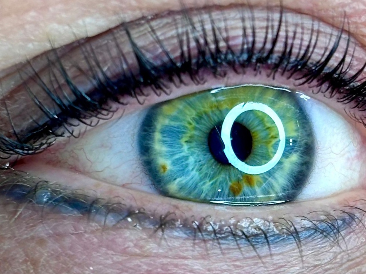Resultaat van een wimperbehandeling bij Perfect Glance